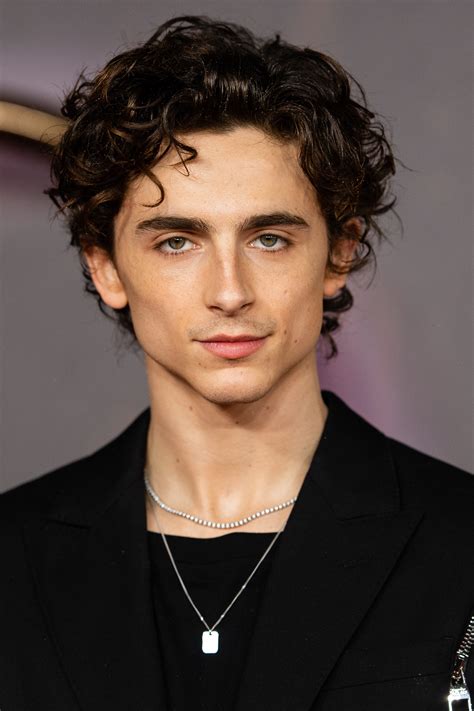 You could get your hands on Timothée Chalamet’s Harry 